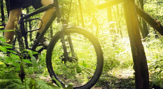 Voorwiel van een bergfiets in het achterlicht, © Fotolia / lassedesignen