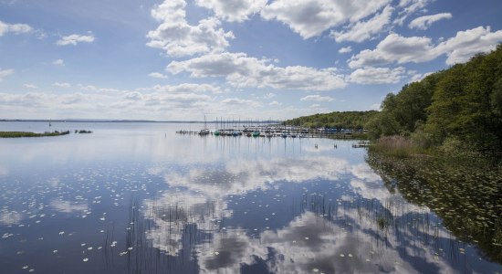 Gezicht op het Steinhuder Meer, rechts zeilboten aan de ligplaatsen, © Naturpark Steinhuder Meer, Region Hannover/ Claus Kirsch