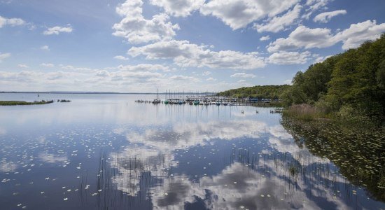 Gezicht op het Steinhuder Meer, rechts zeilboten aan de ligplaatsen, © Naturpark Steinhuder Meer, Region Hannover/ Claus Kirsch
