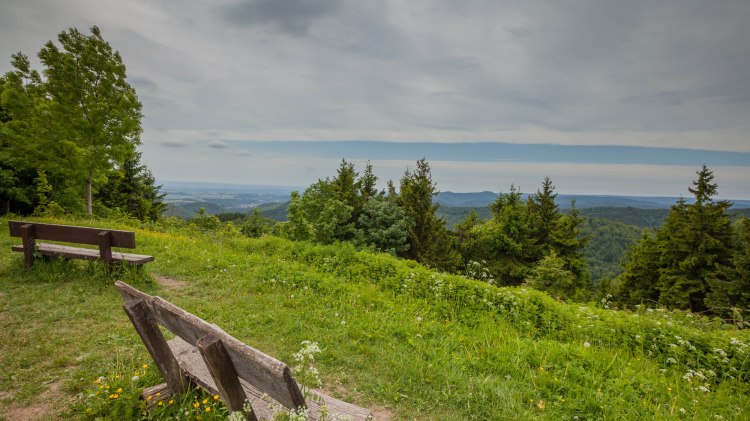 Uitzicht op de Harz, © TMN / Markus Balkow
