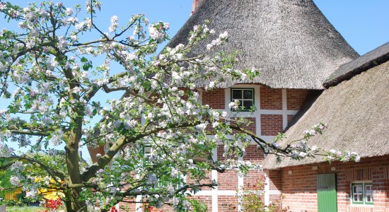 Rieten huis in Cuxland, © Cuxland-Tourismus / Bernd Schlüsselburg