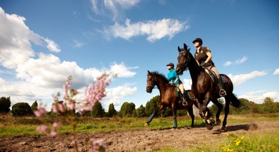 Te paard op de Lüneburger Heide , © Lüneburger Heide GmbH
