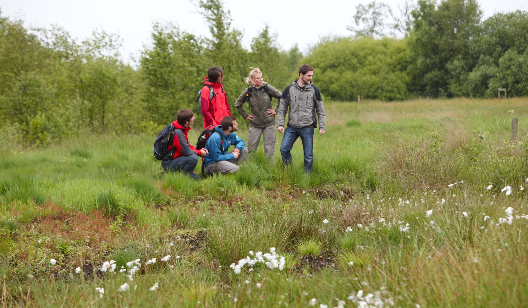 Vijf wandelaars bij een waterpoel in de heide van het natuurpark Moor-Veenland, © Emsland Touristik