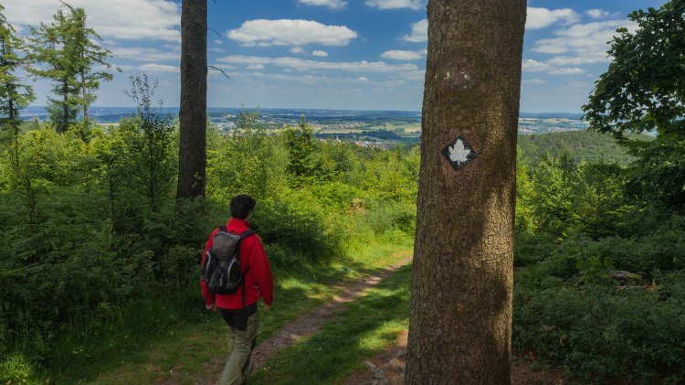 Ahornweg, © Natur- und Geopark TERRA.vita