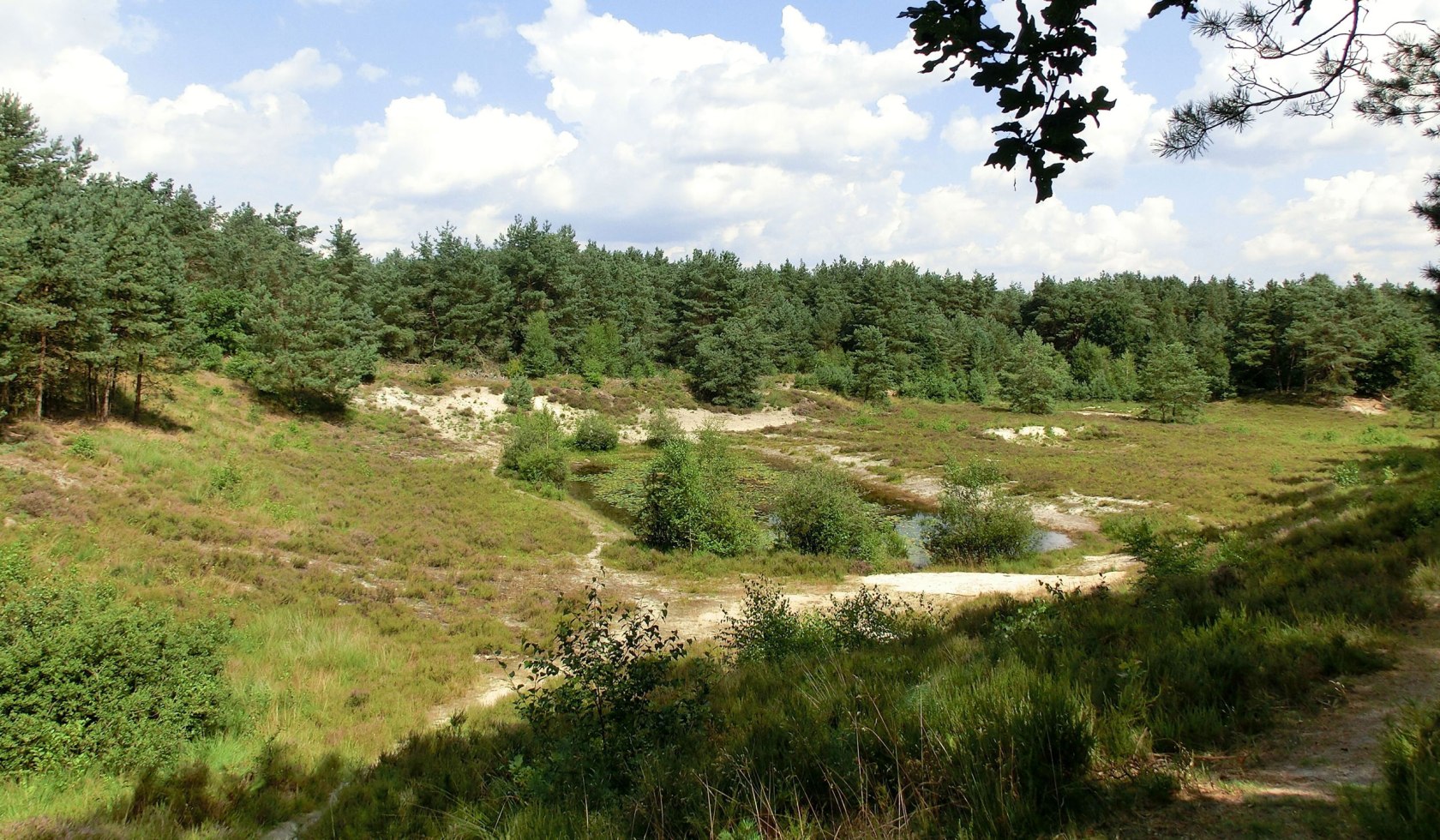 nature reserve, © Touristikverband Landkreis Rotenburg (Wümme)  e.V. / Udo Fischer