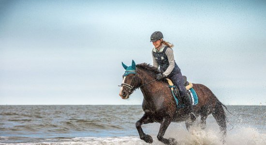 Reiten auf Borkum, © Constantin Ticu / Reitstall Borkum