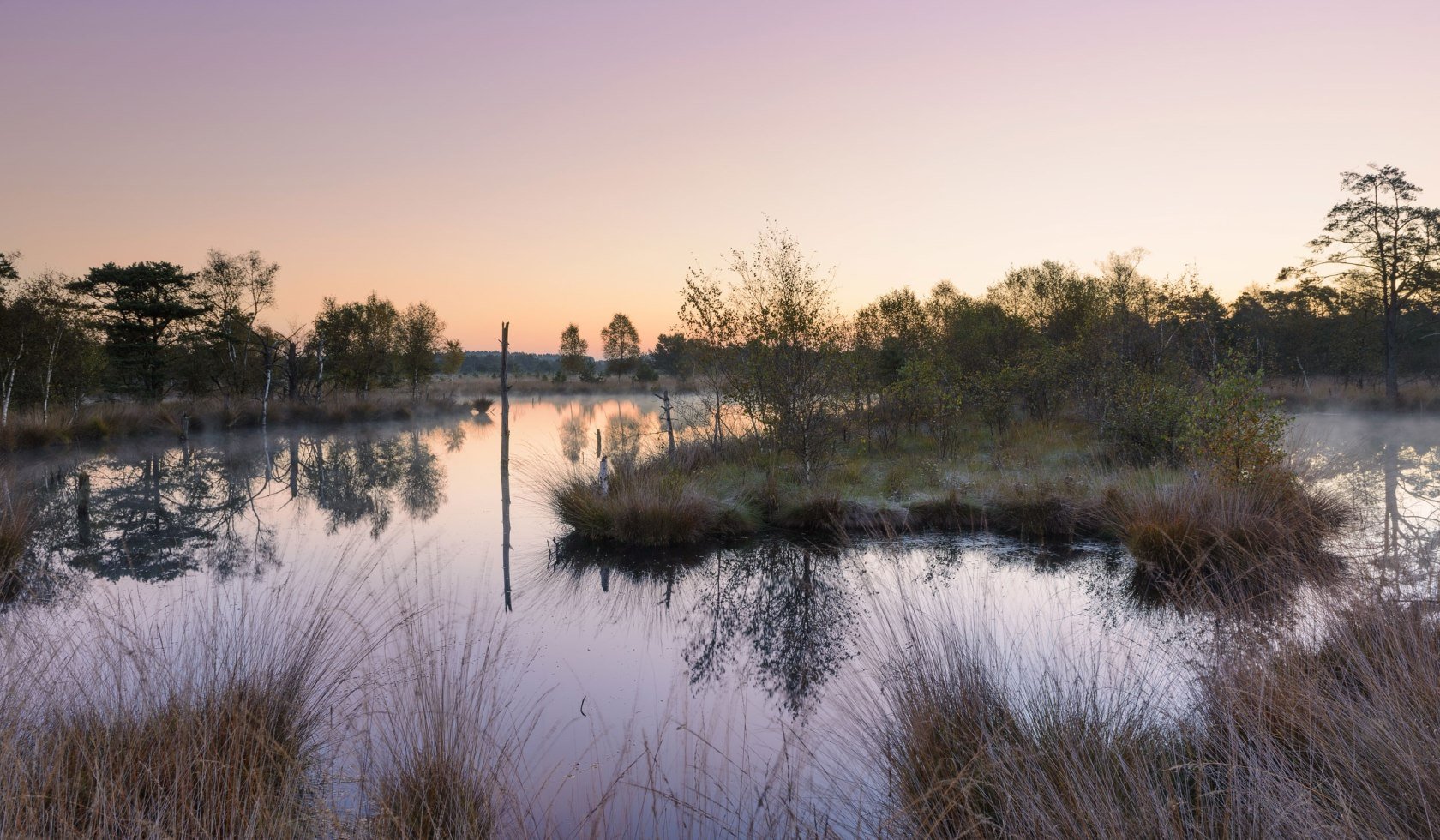 Pietzmoor bij Schneverdingen op de Lüneburger Heide in het ochtendlicht, © Bildagentur Huber/Andreas Keil