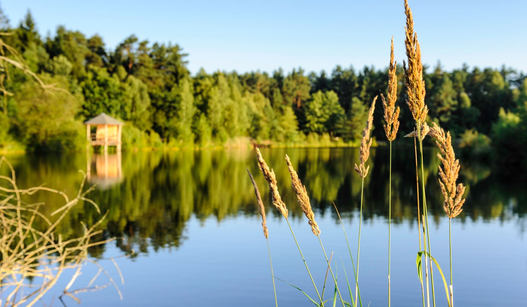 Angelbecks Pond, © Lüneburger Heide GmbH/ Markus Tiemann