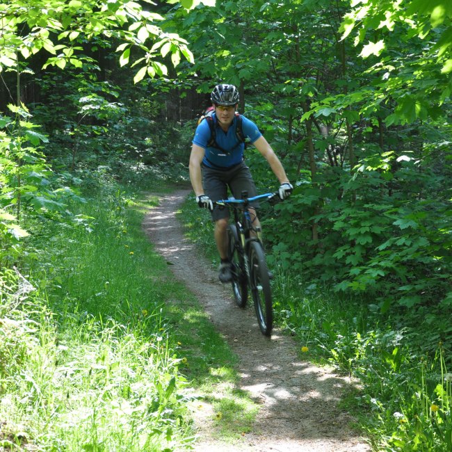 Mountainbikers in Solling-Vogler onderweg, © Solling-Vogler-Region