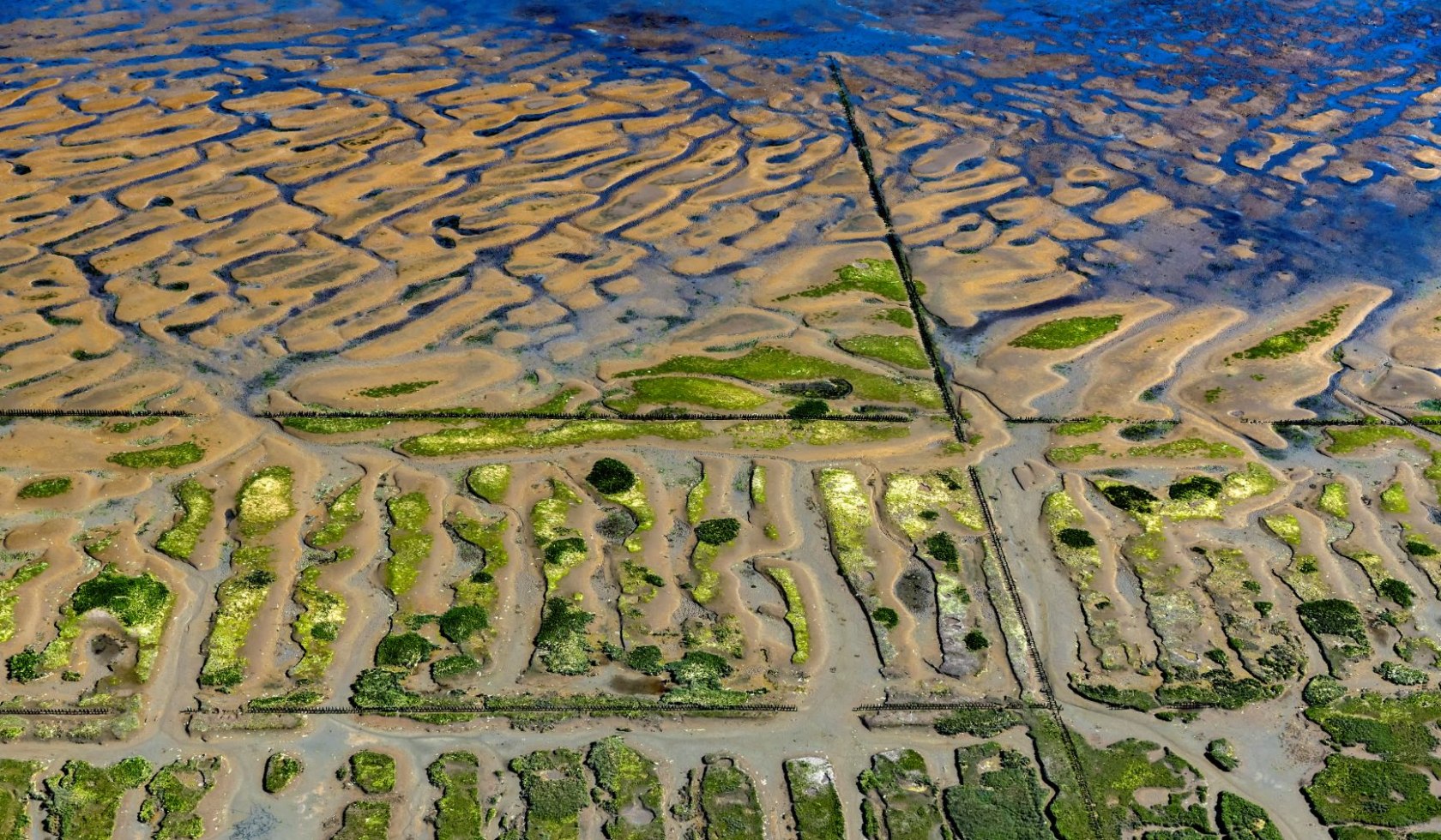 Langeoog kwelders luchtfoto, © Martin Elsen