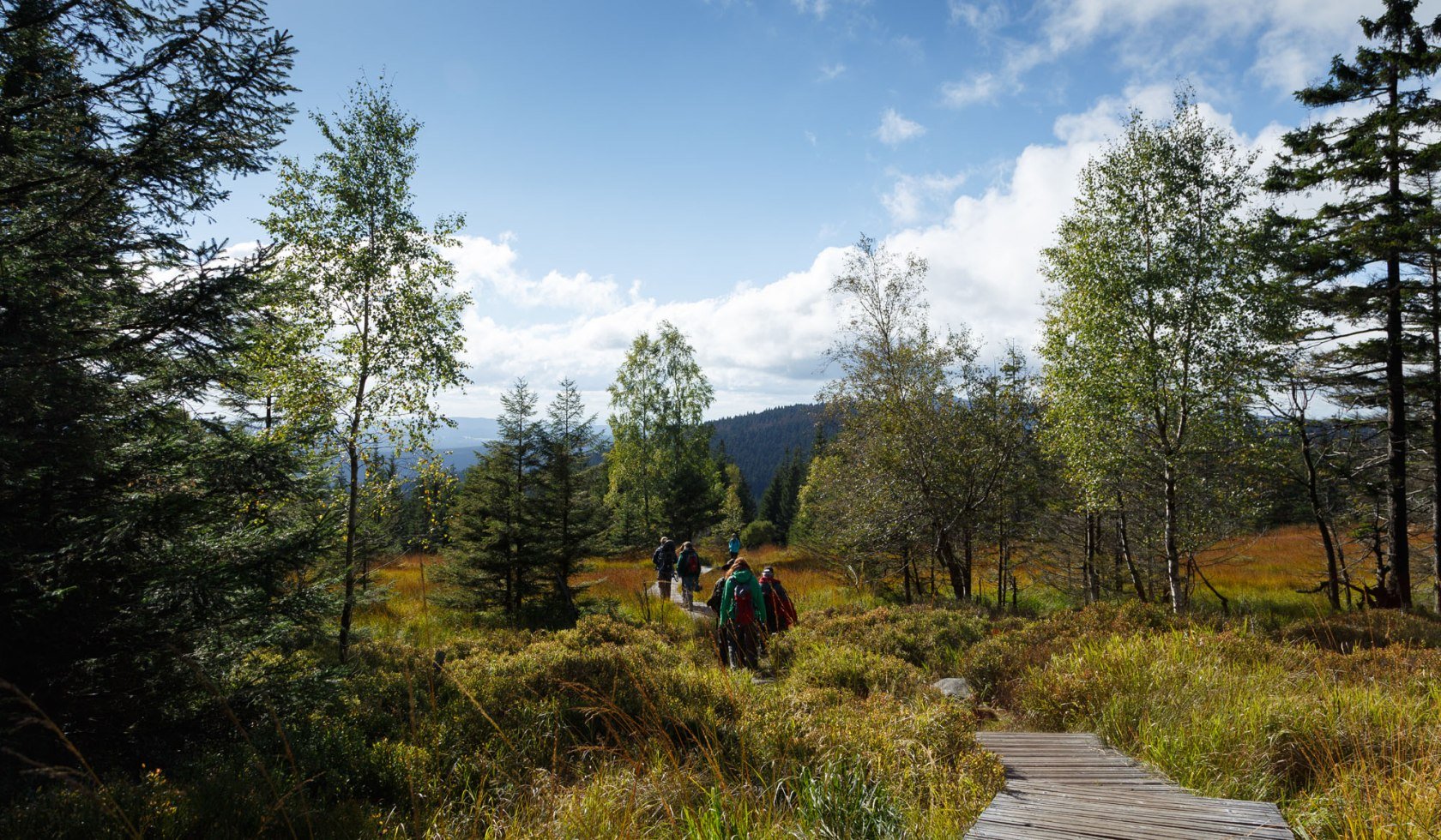 Ontdekkingstocht op de Moorsteg, © Nationalpark Harz / Foto Lindenberg