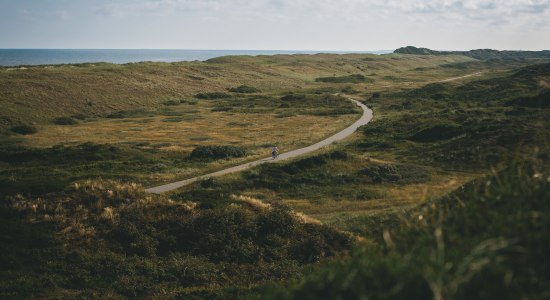 Fietspad op Langeoog, © TMN/ Max Fischer 