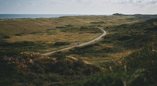 Fietspad op Langeoog, © TMN/ Max Fischer 