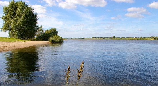 De Elbe in de zomer, © Flusslandschaft Elbe GmbH/ Jens Kowald