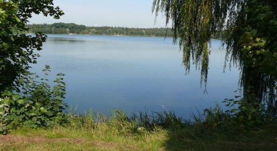 Dümmer See, © Tourismusverband Osnabrücker Land e.V.