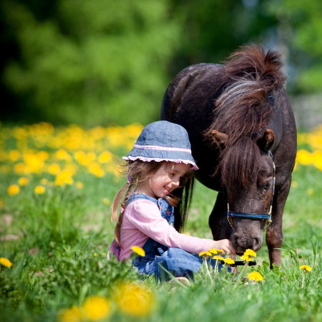 Een meisje zit op het gras en voedt een pony, © Fotolia/ Alexia Khruscheva