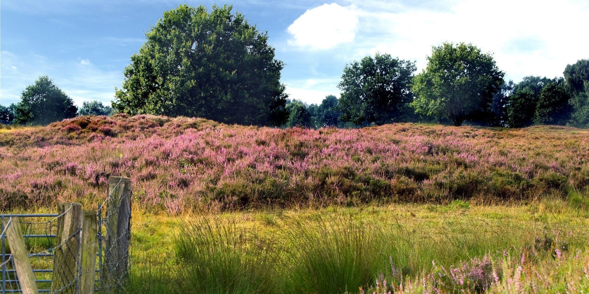 Hümmling, © Emsland Touristik