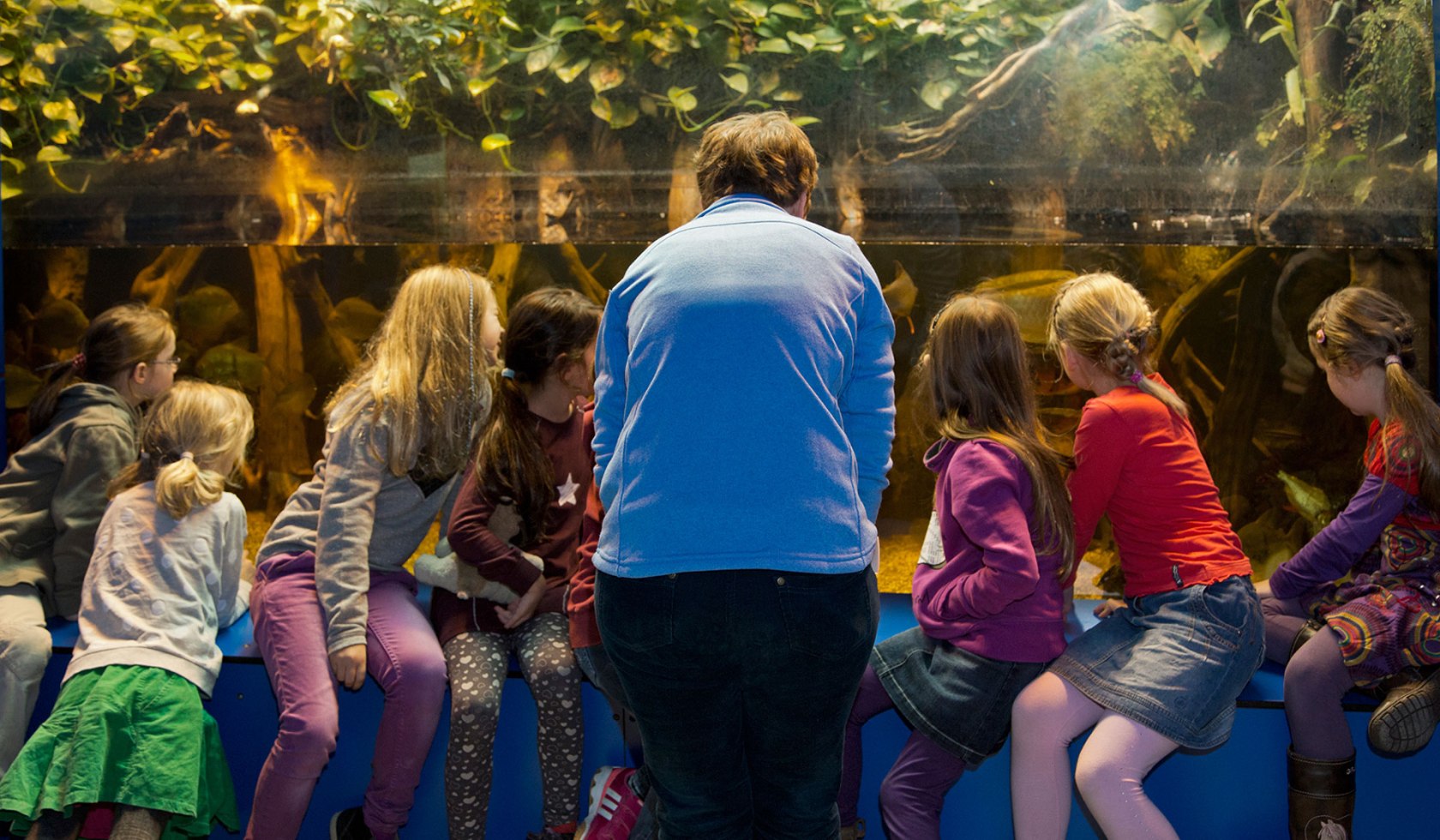 Rondleiding door de waterwerelden, © Landesmuseum Hannover