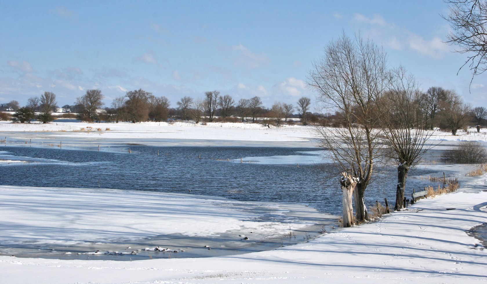 Elbwiesen in de winter, © Flusslandschaft Elbe GmbH / Wolfgang Herbst, Bleckede