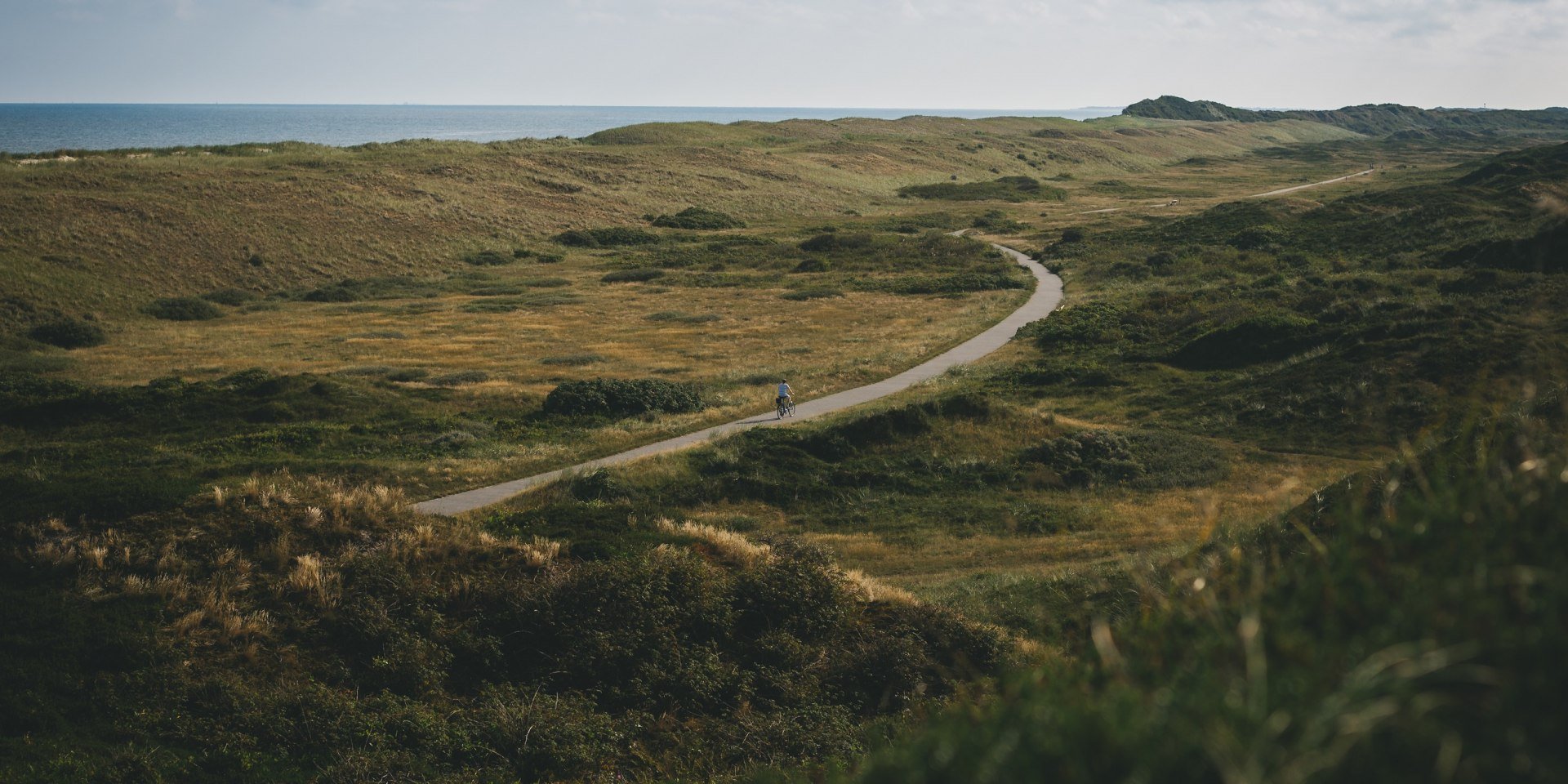 Fietspad op Langeoog, © TMN/ Max Fischer 