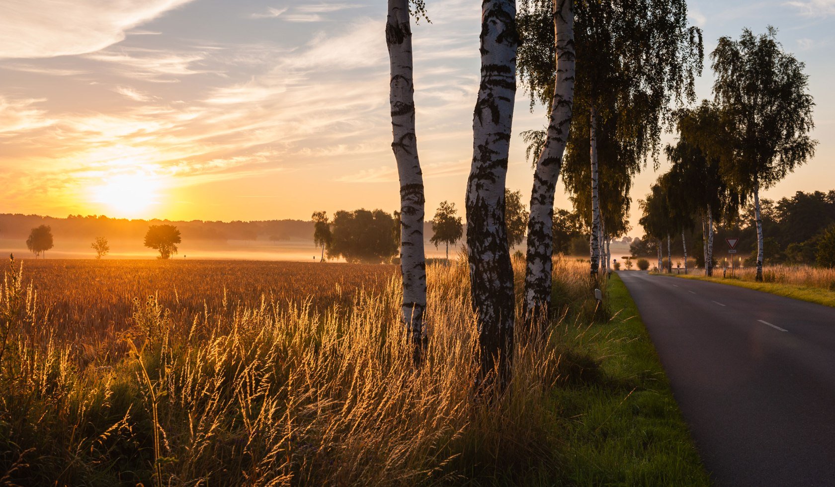 Zicht op een zonsondergang over graanvelden en berkenlaan in het stroomgebied van de Uelzen, © Lüneburger Heide GmbH/ Markus Tiemann