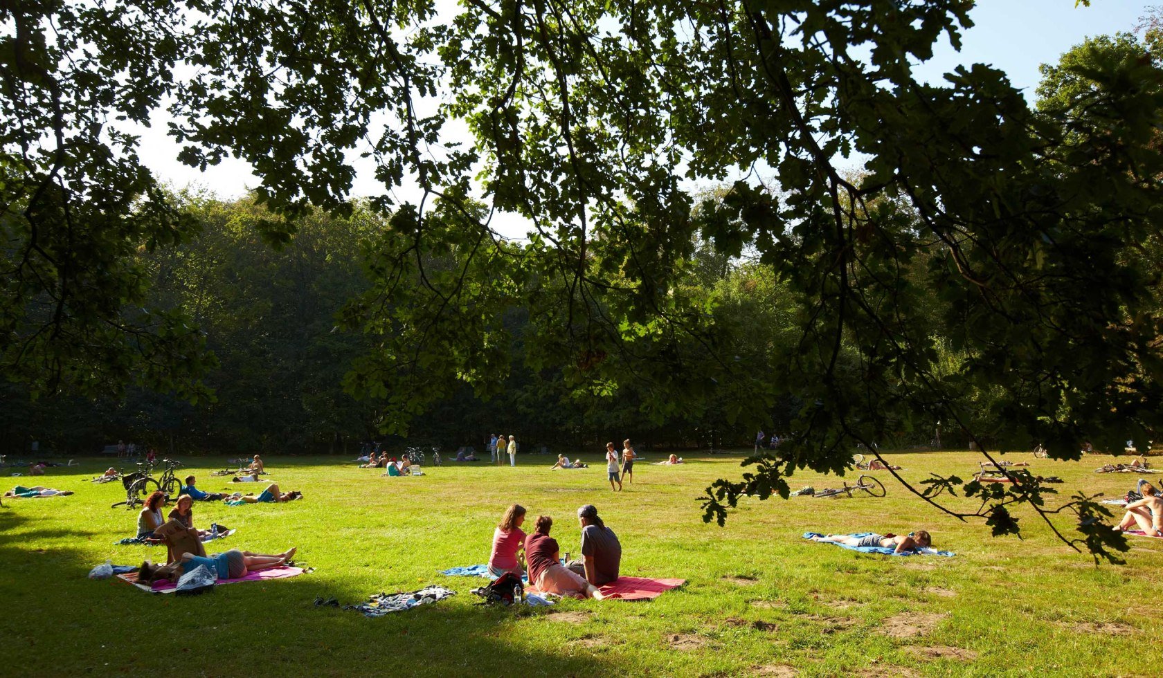 Sonnenwiese - Eilenriede NL, © Hannover Marketing und Tourismus GmbH / Christian Wyrwa