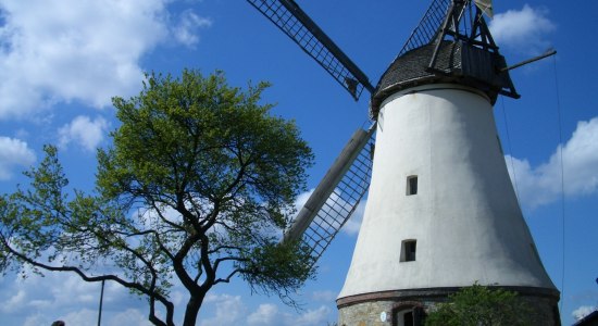 windmolen Lechtingen, © Osnabrücker Land / Franz Middendorf