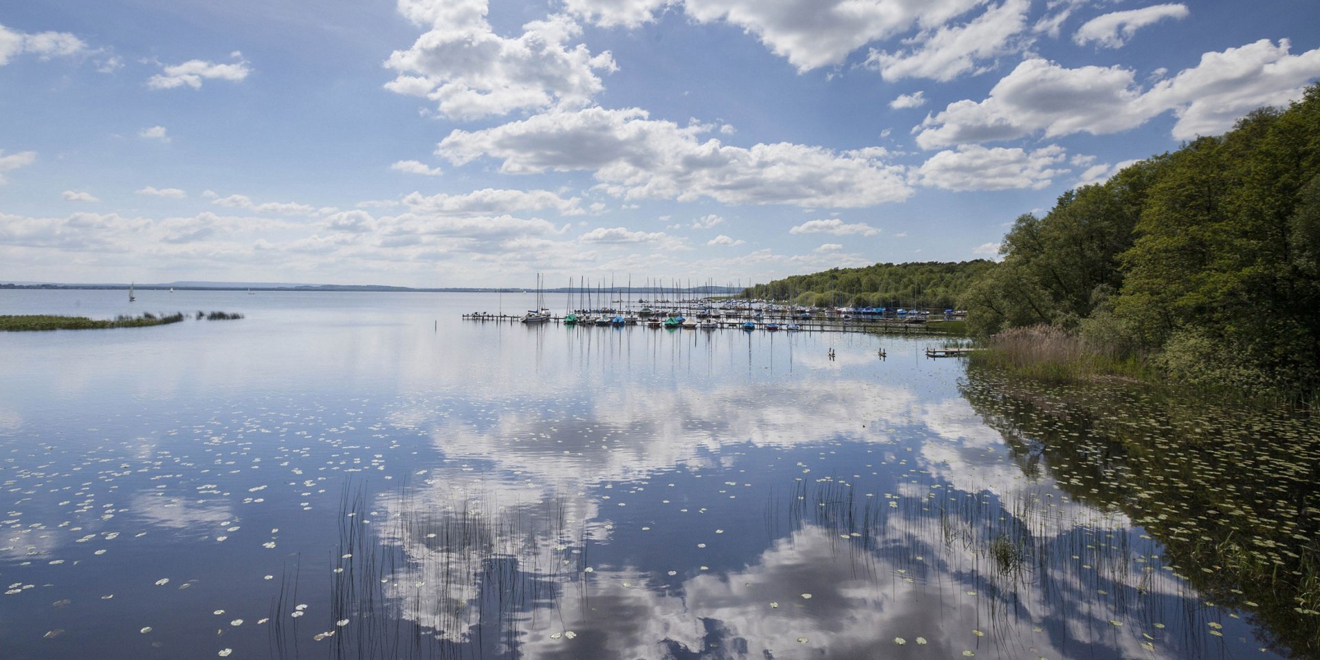 Gezicht op het Steinhuder Meer, rechts zeilboten aan de ligplaatsen, © Naturpark Steinhuder Meer, Region Hannover/ Claus Kirsch