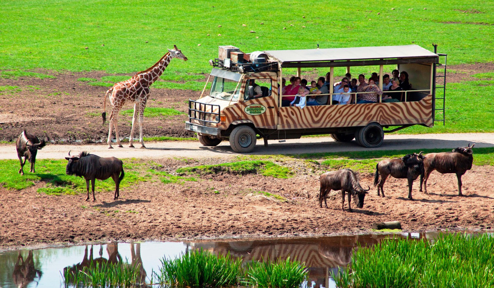 Jungle Safari Tour in Serengeti Park Hodenhagen, © Serengeti-Park Hodenhagen