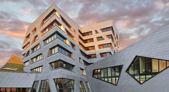 Centraal gebouw van de Leuphana Universiteit Lüneburg, © Rheinzink