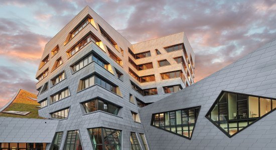 Centraal gebouw van de Leuphana Universiteit Lüneburg, © Rheinzink