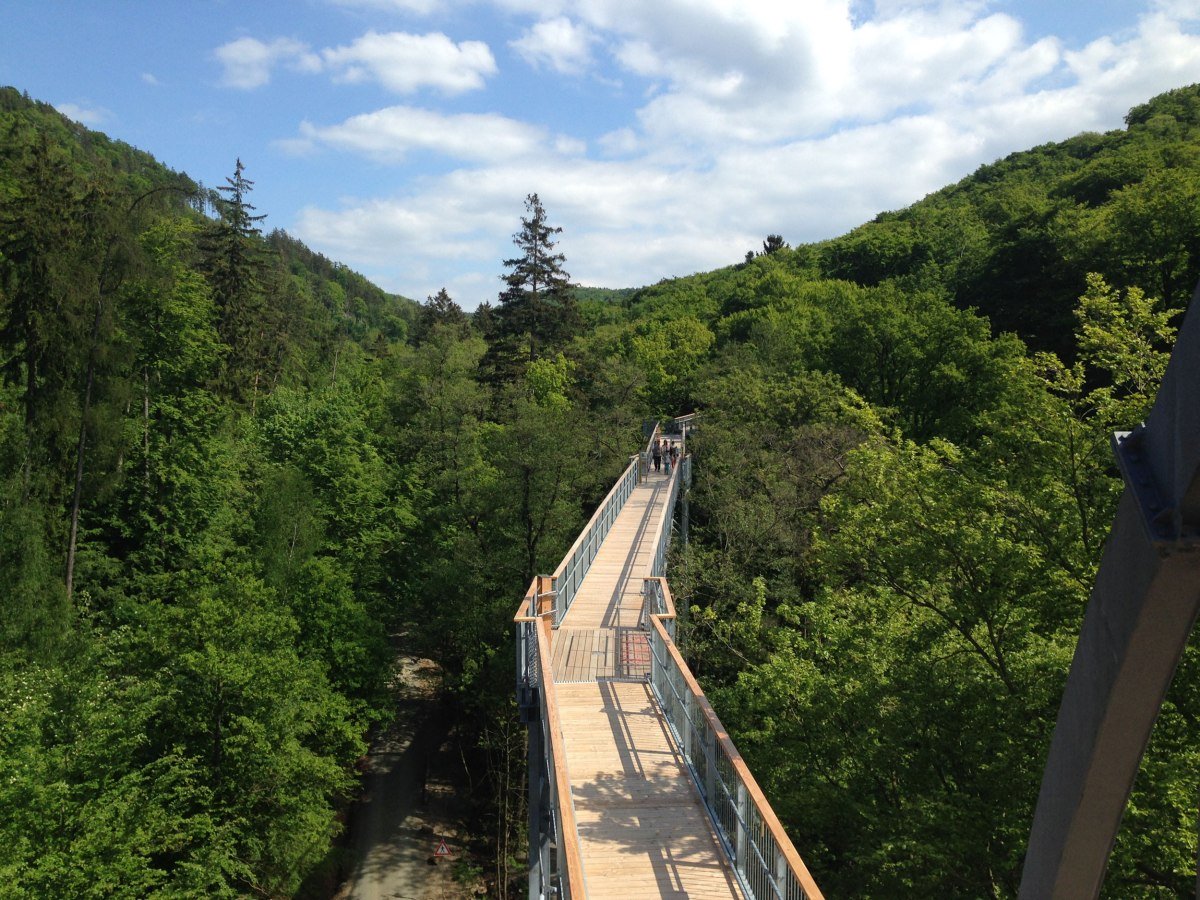 Baumwipfelpfad (Boomtoppad) Harz, © Baumwipfelpfad Harz