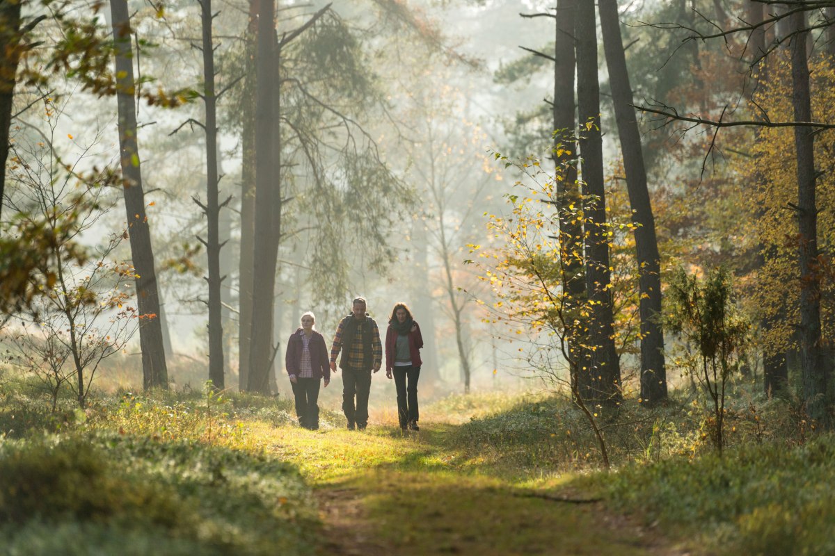 wandelen in de Tiefental NL, © Lüneburger Heide GmbH/ Dominik Ketz