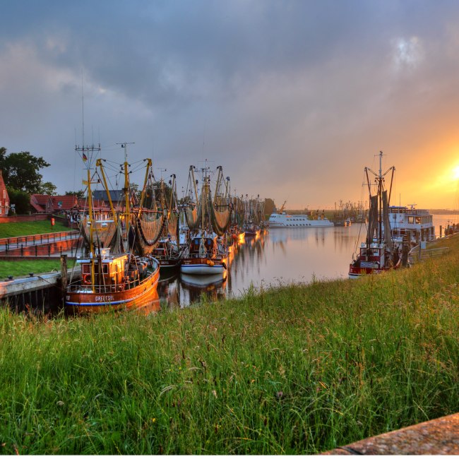 De krabboten liggen afgemeerd in de haven van Greetsiel., © TMN/Huber Images