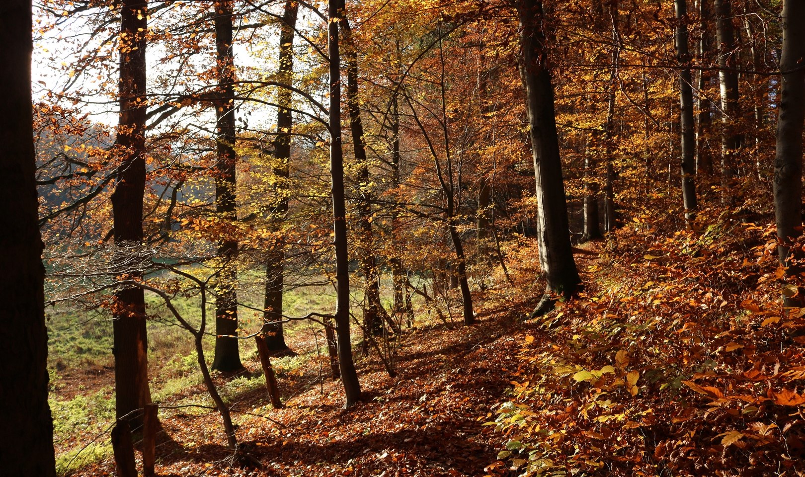 Waltersbachtal, © GeTour GmbH